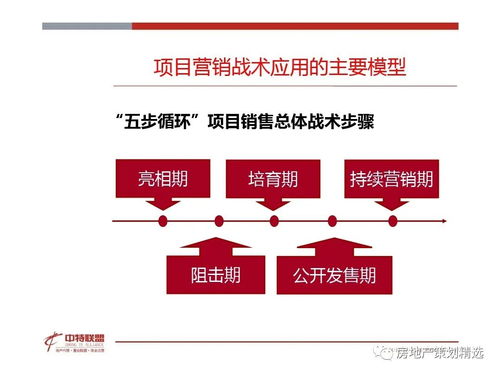 策划 房地产营销策划思路精髓.ppt