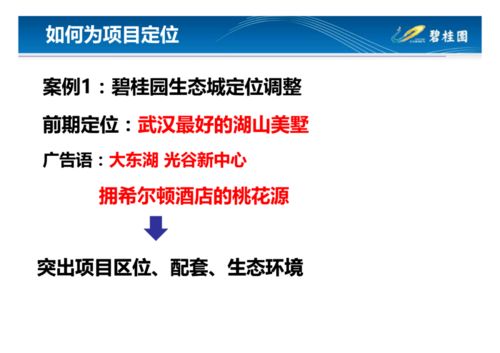 碧桂园营销模式总结 做房地产真正的经营者