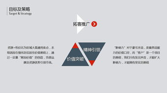 纯干货结构完整房地产大气年度营销报告模板