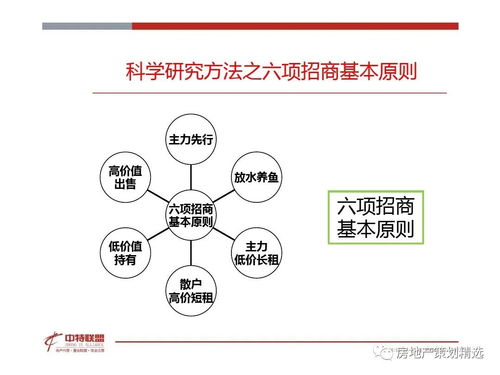 策划 房地产营销策划思路精髓.ppt